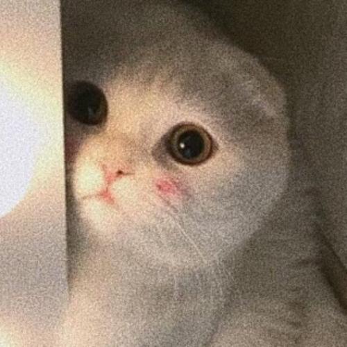 สมาชิกหมายเลข 6038294