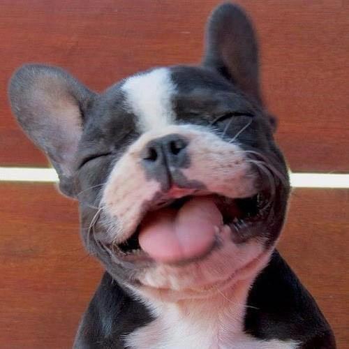 สมาชิกหมายเลข 6314998