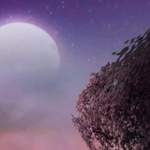 สมาชิกหมายเลข 1470788