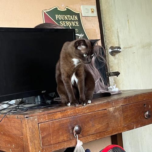 สมาชิกหมายเลข 2995660