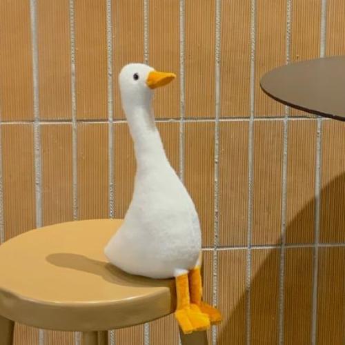 สมาชิกหมายเลข 7298650