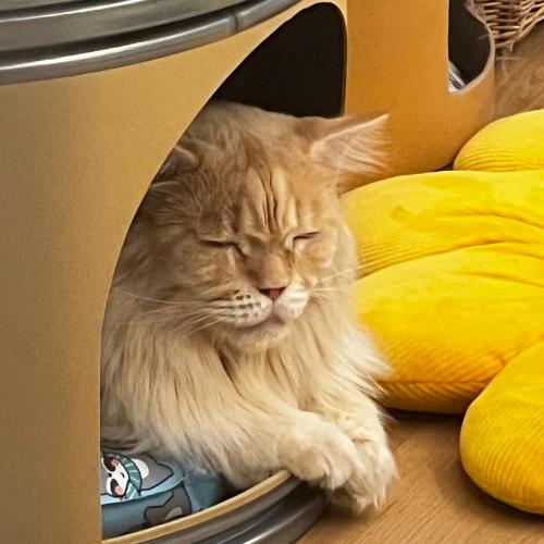 สมาชิกหมายเลข 1092035