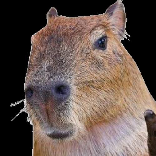 สมาชิกหมายเลข 8112632