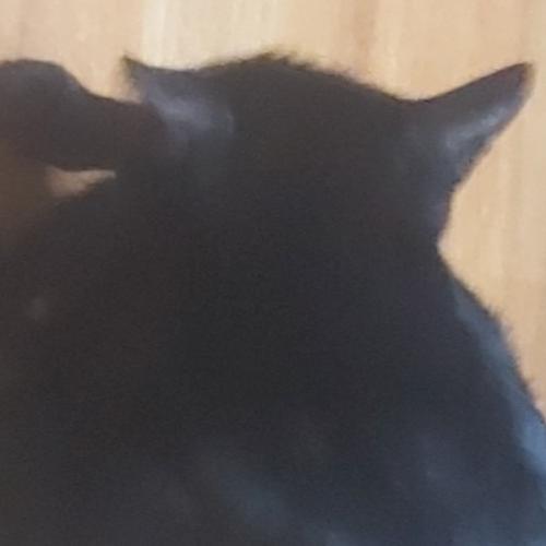 สมาชิกหมายเลข 8125506