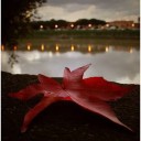 สมาชิกหมายเลข 3494366