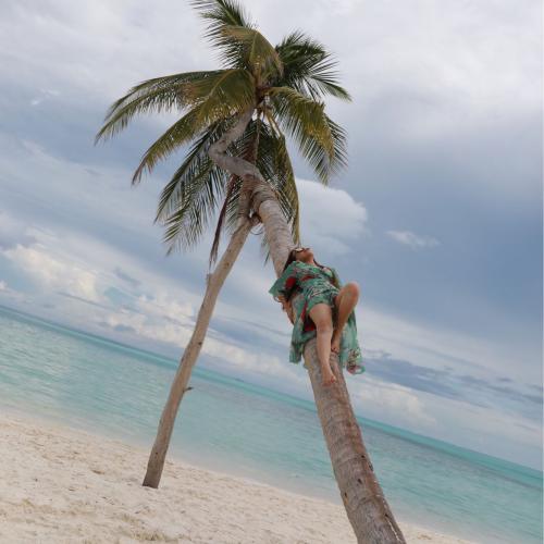 สมาชิกหมายเลข 4684924