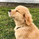 สมาชิกหมายเลข 3726879