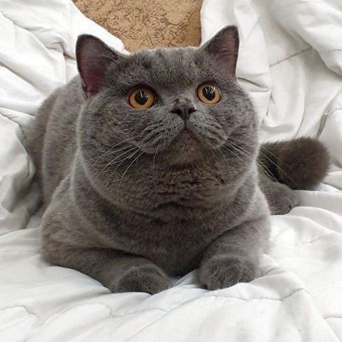 สมาชิกหมายเลข 3920105