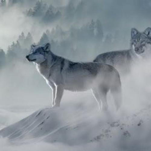 สมาชิกหมายเลข 4816713