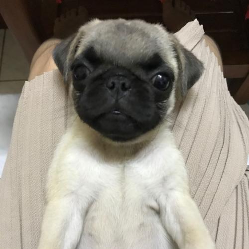 สมาชิกหมายเลข 5893407