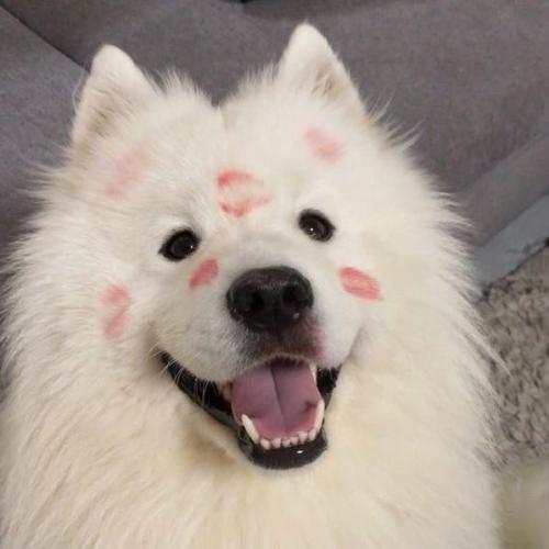 สมาชิกหมายเลข 7299359