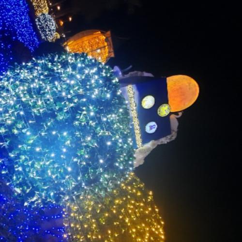 สมาชิกหมายเลข 7299382