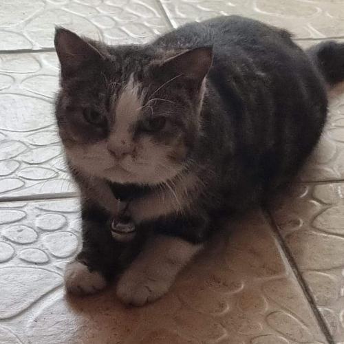 สมาชิกหมายเลข 4618175