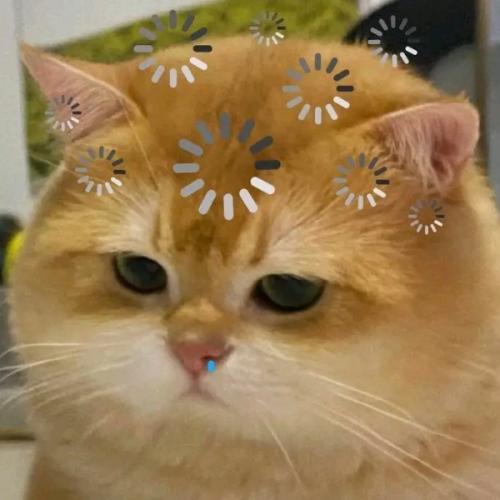 สมาชิกหมายเลข 3919852