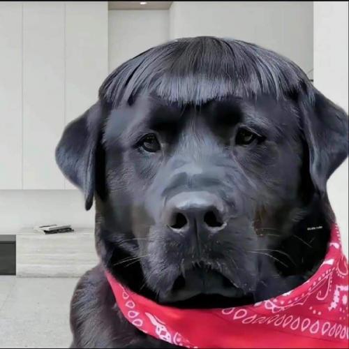 สมาชิกหมายเลข 7842280