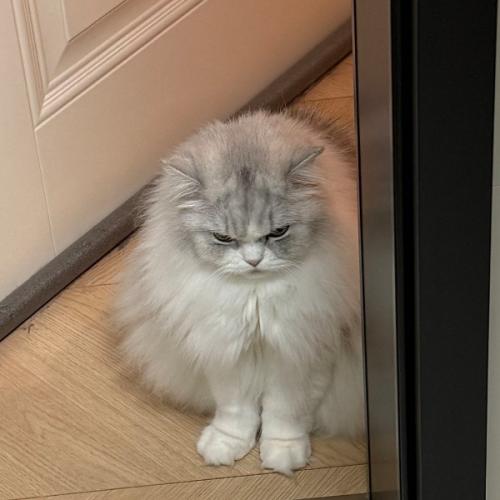 ปรากฏการณ์หลังฝนตก