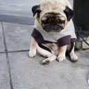 สมาชิกหมายเลข 3652503