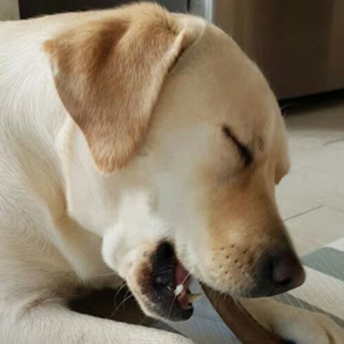 สมาชิกหมายเลข 4685557