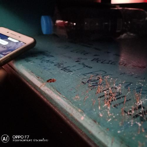 สมาชิกหมายเลข 4685590