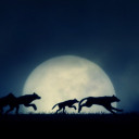 สมาชิกหมายเลข 4026424