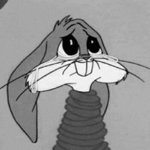 สมาชิกหมายเลข 4951390