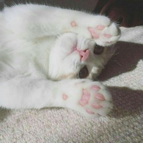 สมาชิกหมายเลข 3859512