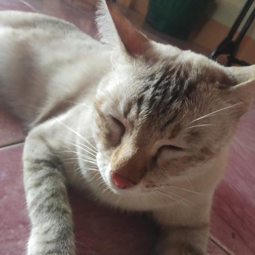 สมาชิกหมายเลข 5962549