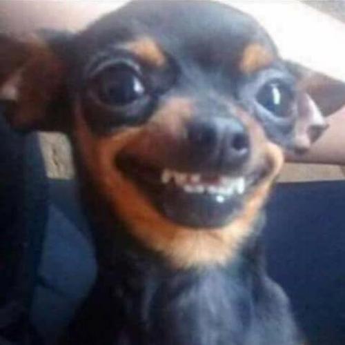 สมาชิกหมายเลข 5963199