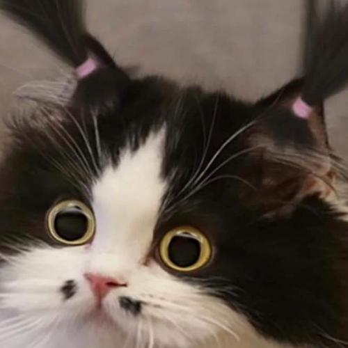 สมาชิกหมายเลข 6559718