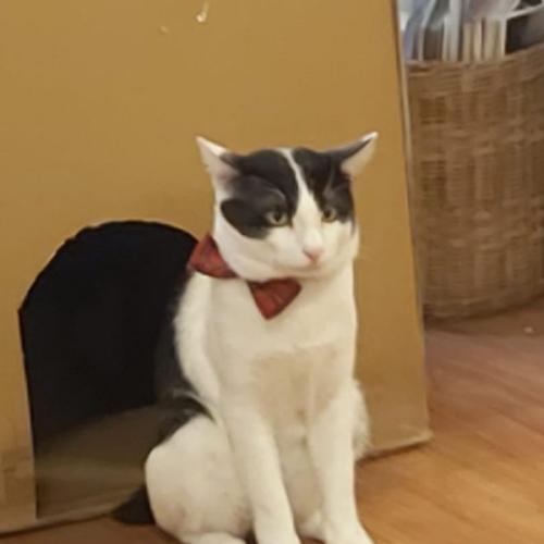 สมาชิกหมายเลข 6569455