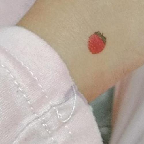 สมาชิกหมายเลข 6569514