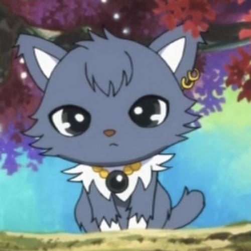 สมาชิกหมายเลข 7300127