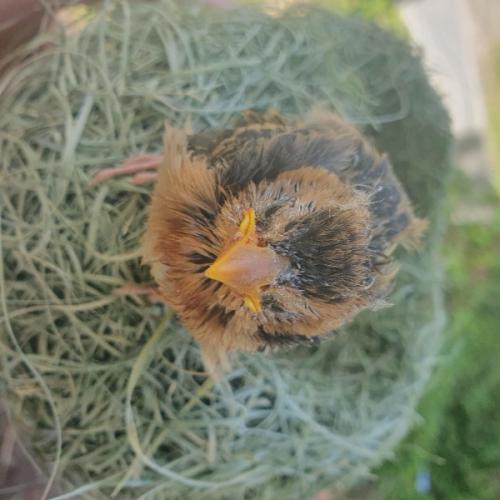 สมาชิกหมายเลข 8892761