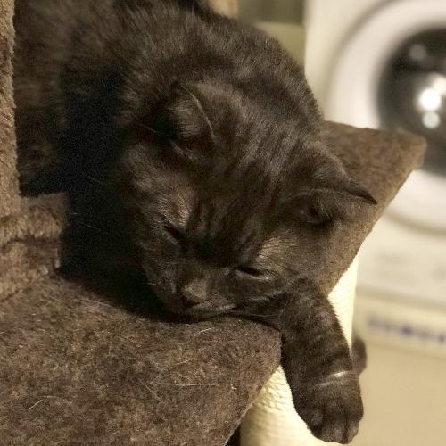 สมาชิกหมายเลข 1921942