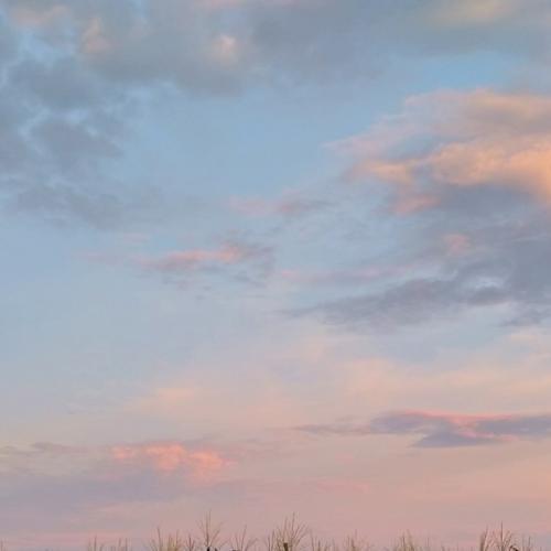 สมาชิกหมายเลข 5271385