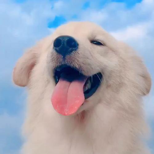 สมาชิกหมายเลข 5454300