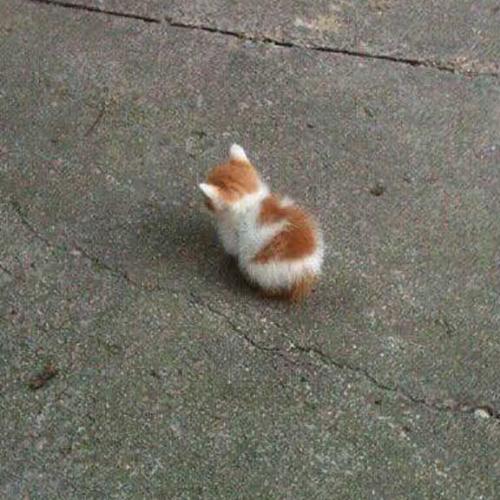 สมาชิกหมายเลข 5959261