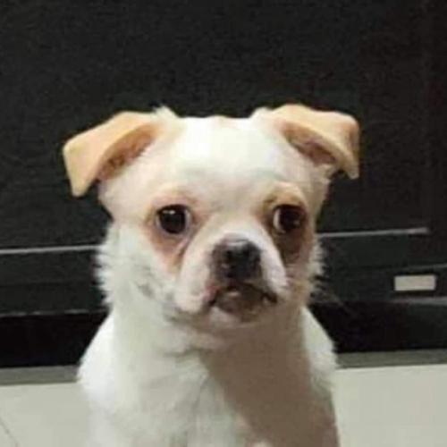 สมาชิกหมายเลข 5964118