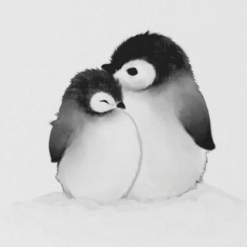 เพนกวินต้วมเตี้ยม