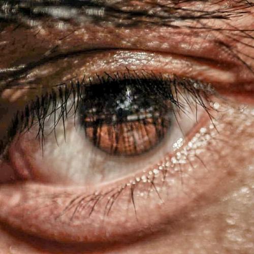 สมาชิกหมายเลข 2430989