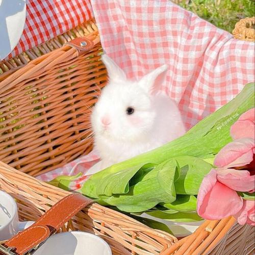 สมาชิกหมายเลข 6200398