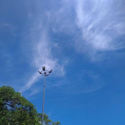 สมาชิกหมายเลข 6570347