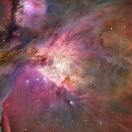 สมาชิกหมายเลข 6981129