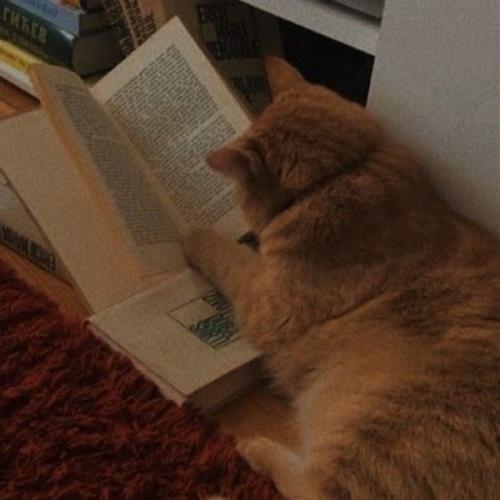 สมาชิกหมายเลข 7300457