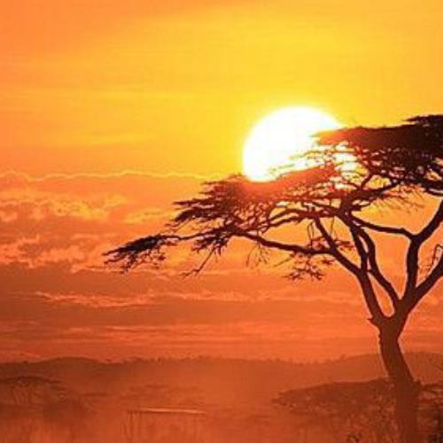 สมาชิกหมายเลข 7300481