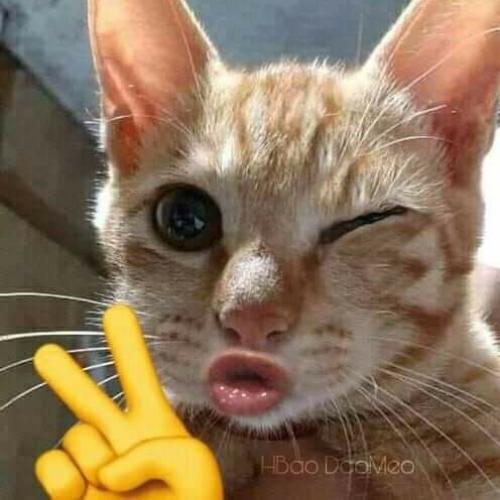 สมาชิกหมายเลข 7300758