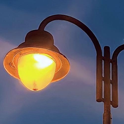 สมาชิกหมายเลข 7300899