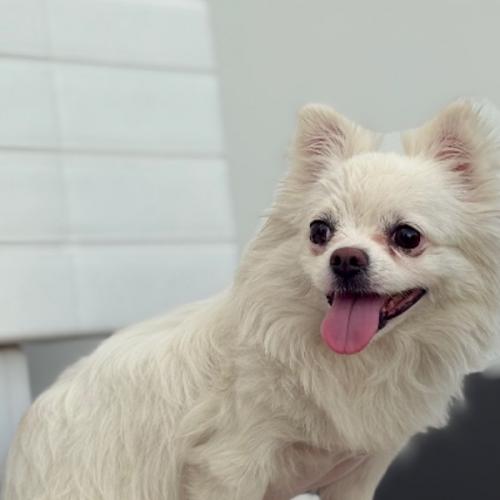 สมาชิกหมายเลข 3836868