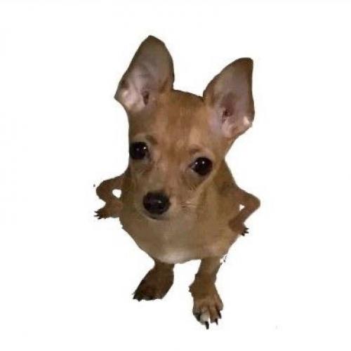 สมาชิกหมายเลข 5714939