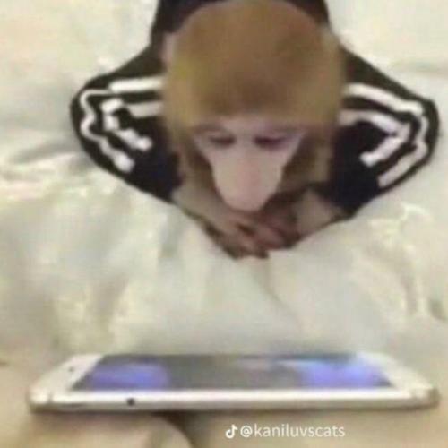 สมาชิกหมายเลข 7218015